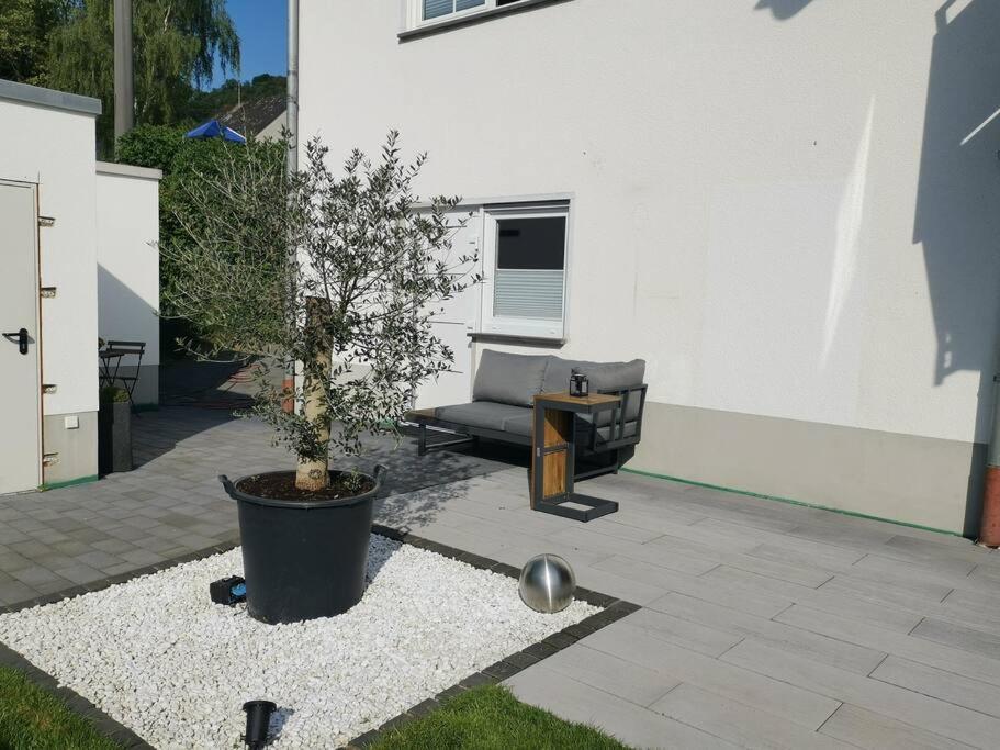 Mosel19 - Moderne, Hochwertige * Niederfell